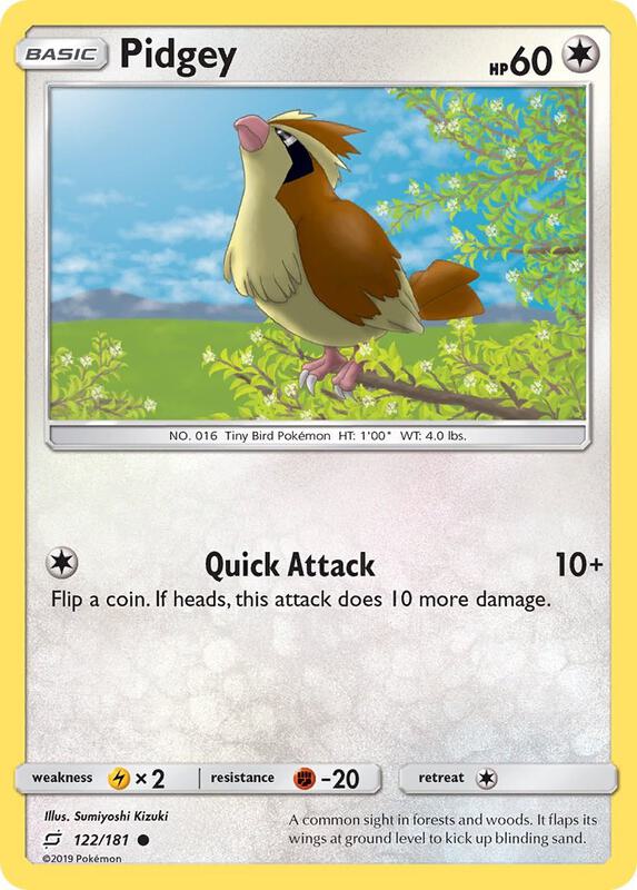 Pidgey 122/181 - Team Up
