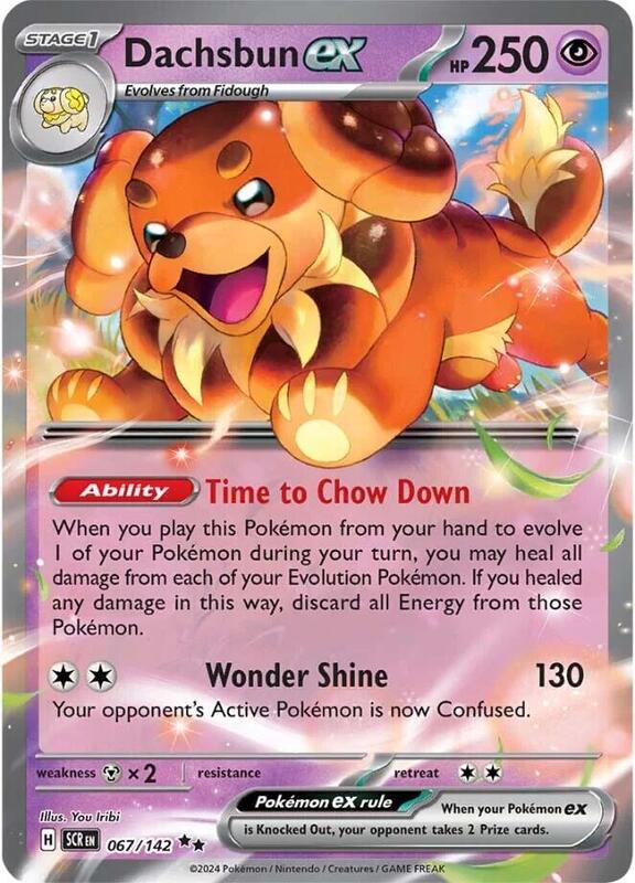 Dachsbun ex 067/142 - Stellar Crown
