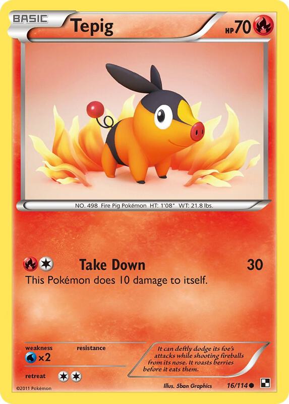 Tepig 16/114 - Black & White